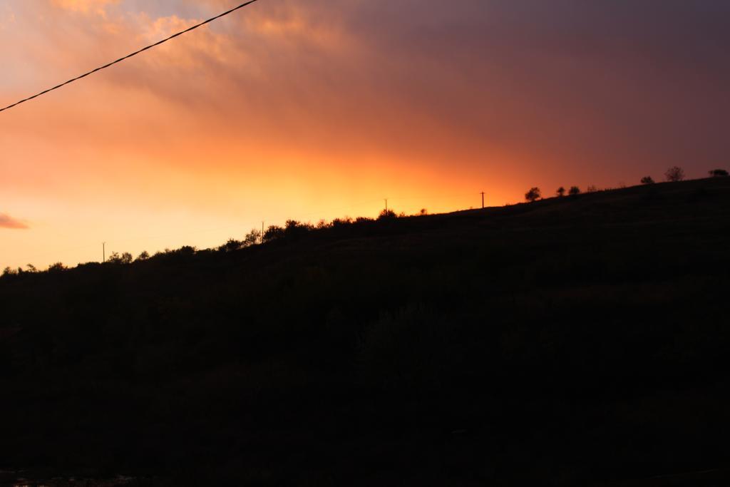 Pensiunea Fery Slobozia-Oancea Esterno foto